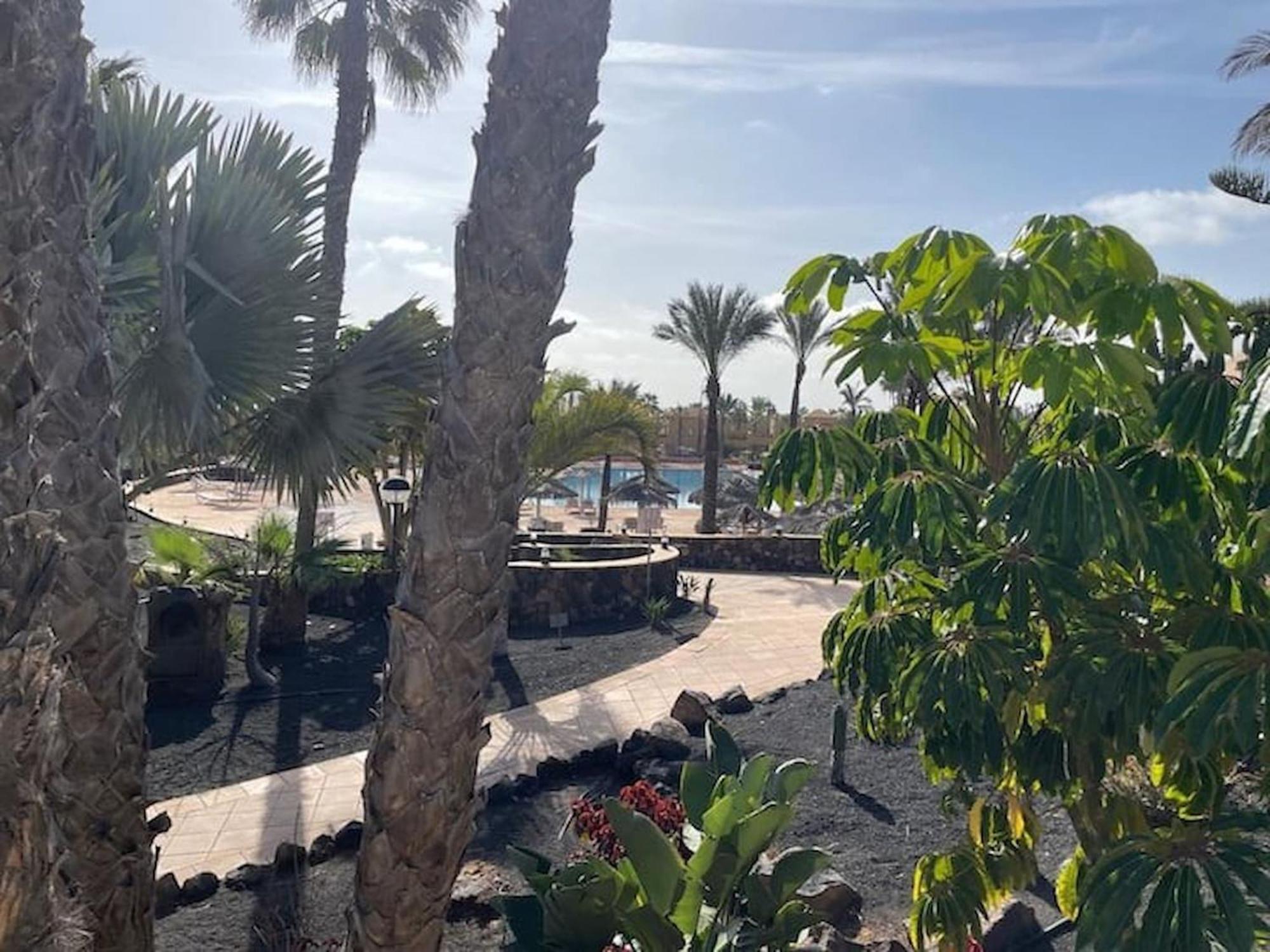 Oasis Sun & Soul, Pool And Wifi By Rentalfue Apartment